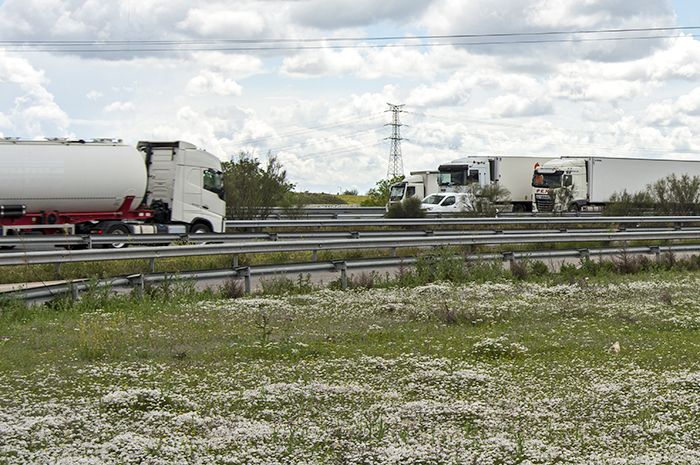 camiones circulando junto a un campo de flores